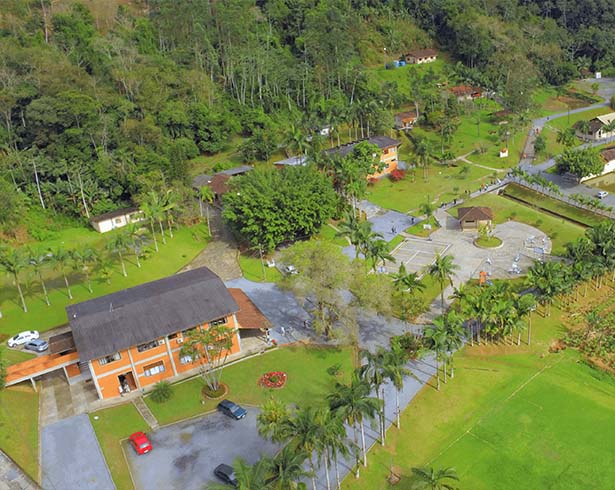 cerene-blumenau-sc