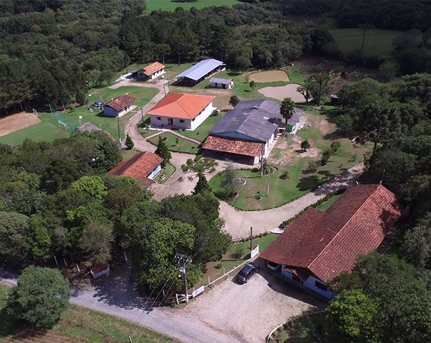 cerene-lapa-pr